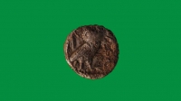 https://www.blaisekirschner.com/files/gimgs/th-10_28_cunningcopper.jpg