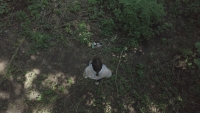https://www.blaisekirschner.com/files/gimgs/th-40_UNICA_4k_Still019_Large.jpeg